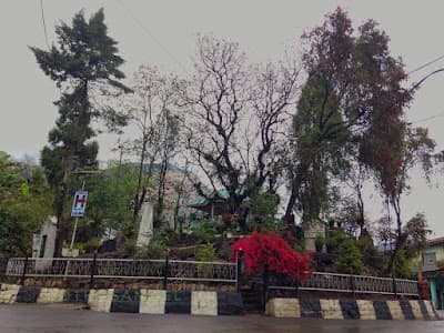 Terraced fields and hill slopes around Mao Gate, Senapati