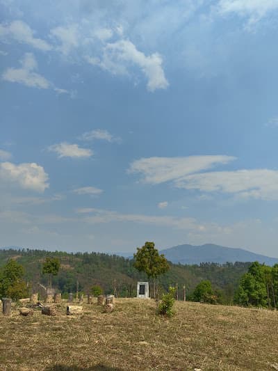 The sacred pear tree and shrine area at Makhel