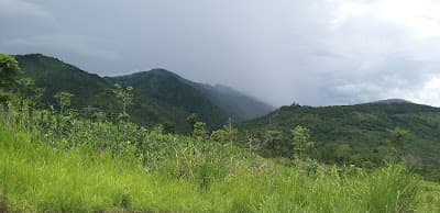 Riverside lowland scenery near Jiribam in western Manipur