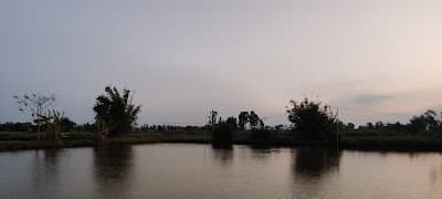 Reed beds and open water at Pumlenpat wetland