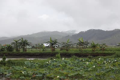 Traditional houses at Kwatha village in Chandel district