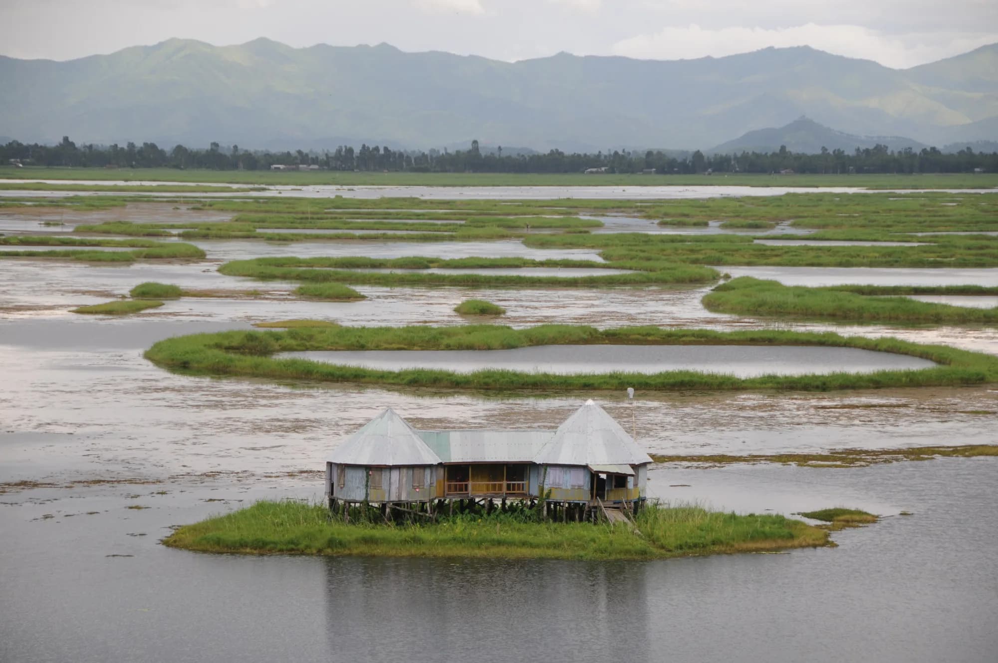 A stilted fishing hut on a floating phumdi island in the open water of Loktak Lake
