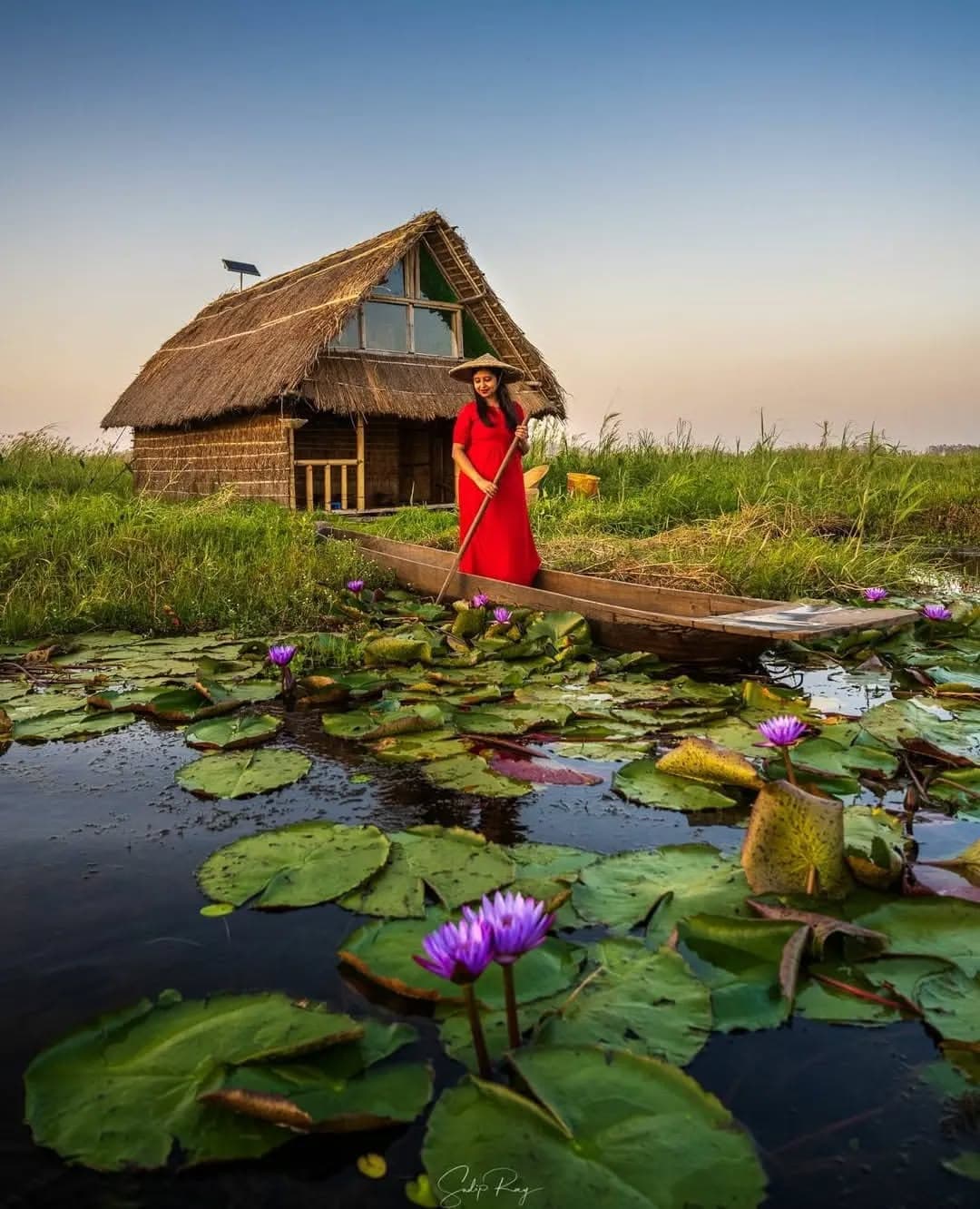 A woman in a red phanek poles a wooden canoe past a thatched hut on a floating phumdi, through water lilies on Loktak Lake at dusk