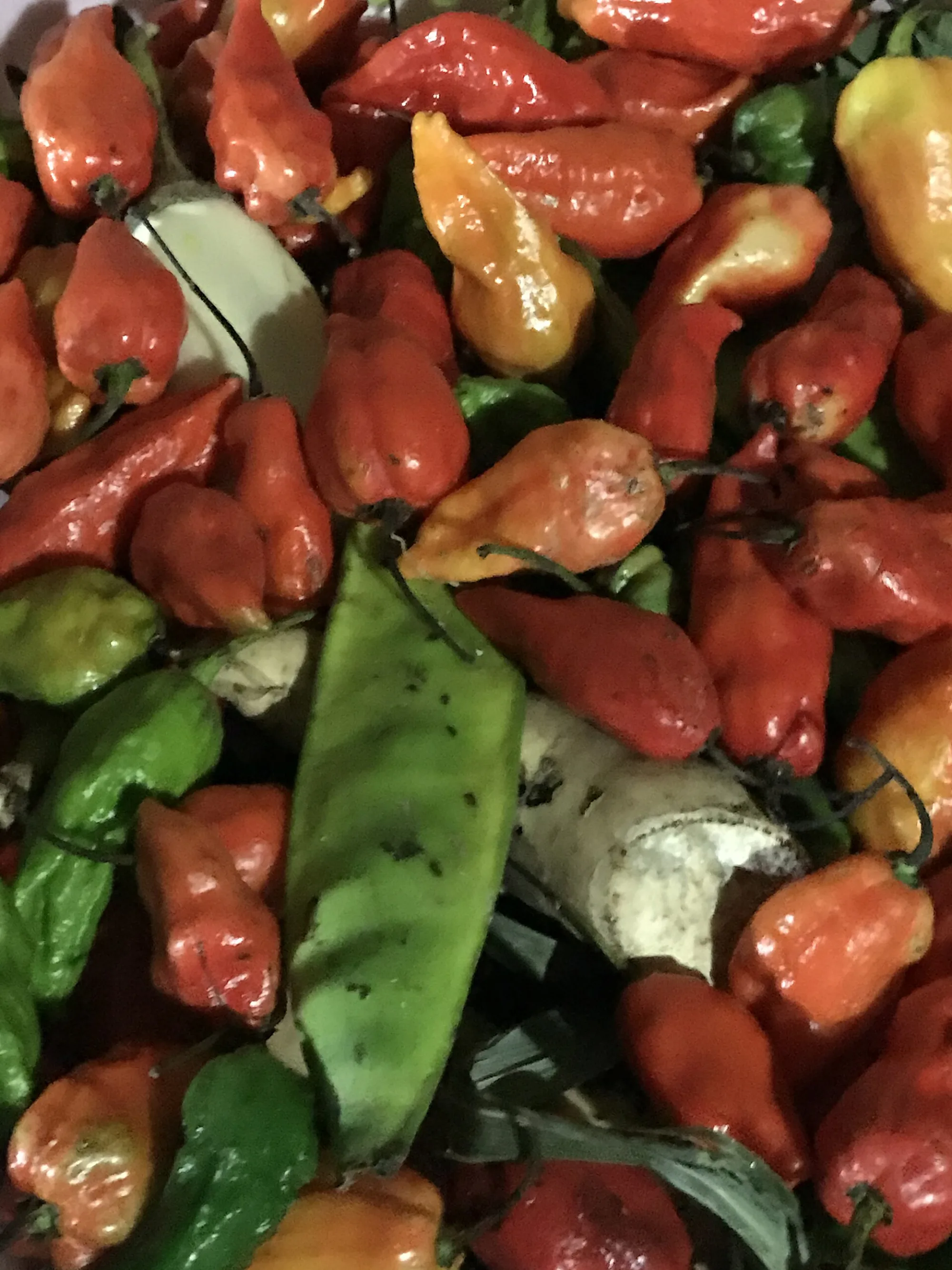 A heap of fresh red and green chillies, the backbone of a Manipuri kitchen