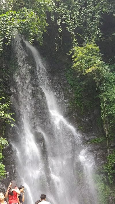 Forested approach path to Sadu Chiru waterfall