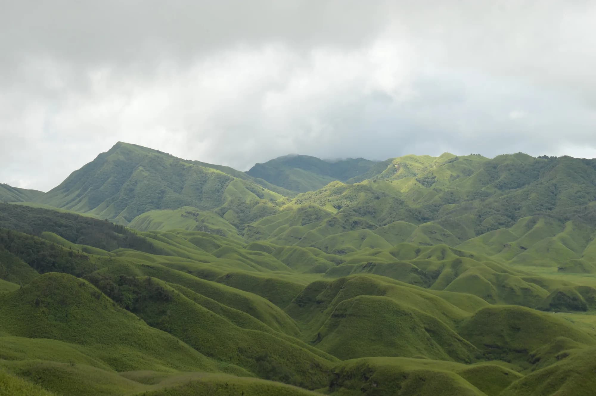 Rolling green hills in Senapati district under a heavy grey sky, a typical group-hire route