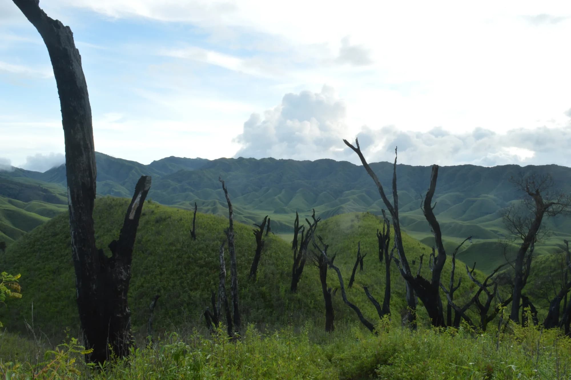 Dense forested ridges in the Yangoupokpi-Lokchao sanctuary area