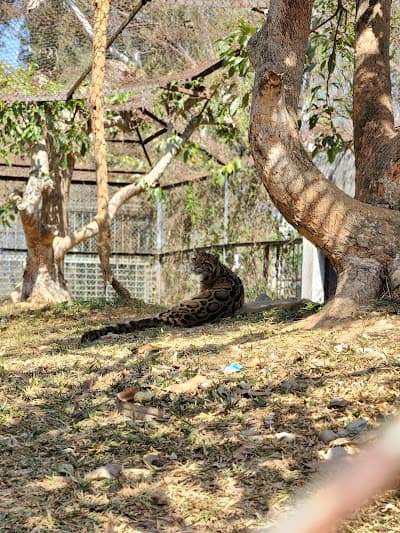 Aviary and pheasant enclosure at the Manipur state zoo